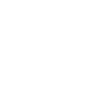 prowess-p-logo-white